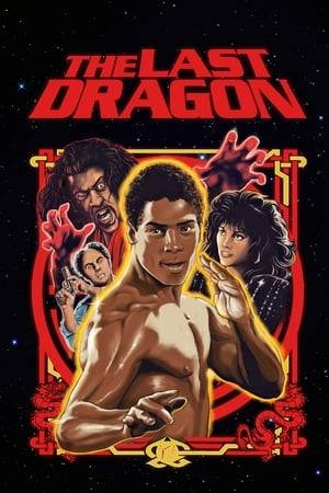 A young man searches for the "master" to obtain the final level of martial arts mastery known as the glow. Along the way he must fight an evil martial arts expert and rescue a beautiful singer from an obsessed music promoter.