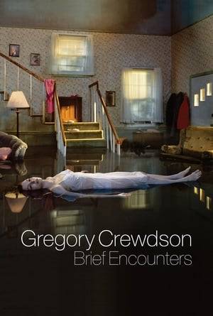 Filmed over a decade, Brief Encounters follows internationally renowned photographer Gregory Crewdson's quest to create his unique, surreal, and incredibly elaborate portraits of suburban life. He sets a house on fire, builds 90 foot sets with crews of sixty, shuts down city streets...all in the service of his haunted image of American life, and his own anxieties, dreams and inner desires. Brief Encounters is an intimate portrait of one of the most heralded image-makers of our time.