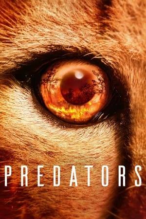 Tom Hardy narrates this thrilling natural history series following five apex predators facing the ultimate test of survival in drastically changing environments across the globe.