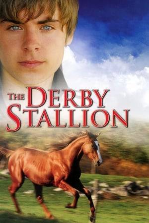 An alcoholic former horse-trainer perceives in a fifteen-year-old boy a unique gift of horsemanship and makes it possible for the boy to conceive his dream and pursue it.