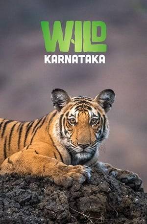An unprecedented UHD film on Karnataka's rich biodiversity narrated by David Attenborough. Portraying the state with highest number of tigers and elephants using the latest technology - a masterpiece showcasing the state, its flora, fauna.