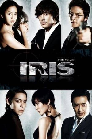 Hyunjun and Sawoo, close friends and rivals from the South Korean special forces, are recruited by the secret agency NSS. They both fall for Seunghee, the beautiful but lethal profiling specialist at NSS. When they are faced against each other in a nuclear terrorist attack, they are forced to make their final decision and Seunghee's formidable secret is revealed.