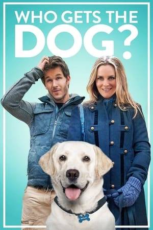 Six years after saying "I do," Olive and Clay call it quits. Although they split amicably, both want custody of their beloved dog Wesley and they end up in court. With everything at stake, can man's best friend find a way to reunite the couple?