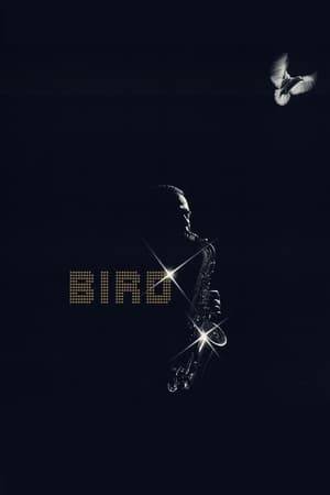 Saxophone player Charlie ‘Bird’ Parker comes to New York in 1940 and is quickly noticed for his remarkable way of playing. He becomes a drug addict but his loving wife Chan tries to help him.