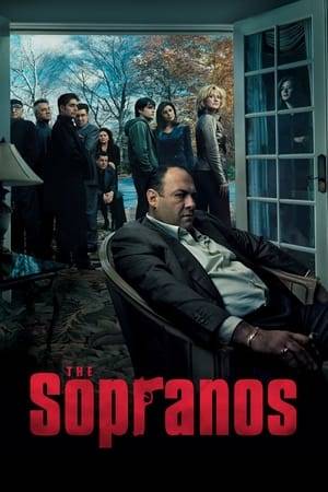 The story of New Jersey-based Italian-American mobster Tony Soprano and the difficulties he faces as he tries to balance the conflicting requirements of his home life and the criminal organization he heads. Those difficulties are often highlighted through his ongoing professional relationship with psychiatrist Jennifer Melfi. The show features Tony's family members and Mafia associates in prominent roles and story arcs, most notably his wife Carmela and his cousin and protégé Christopher Moltisanti.