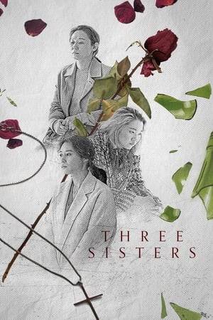 The awkward, distant, and wounded three sisters gather at their hometown for their father's birthday. However, on the day of the party, there is a big mess because of their little brother Jin-seob's abnormal behavior, and the past of the three sisters slowly reveals.