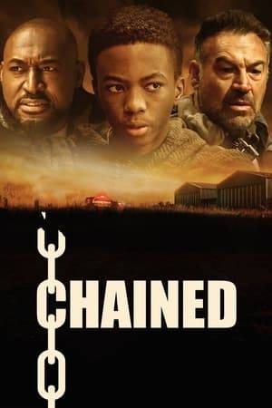 An abused and bullied boy discovers and befriends a criminal chained inside an abandoned warehouse, but after a violent betrayal the abused becomes the abuser, putting both their lives in peril.