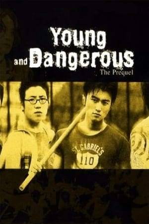 Showcasing the earlier years of Chan Ho Nam and Chicken, this prequel tells of their time during their willingness to follow Hung Hing's Uncle Bee.