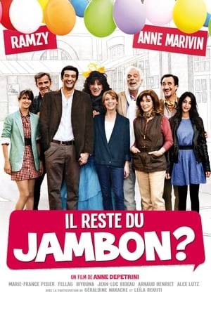 Djalil Boudaoud and Justine Lacroix are a surgeon and a television reporter who enter a romantic relationship despite the objections of their families to the cultural gap.