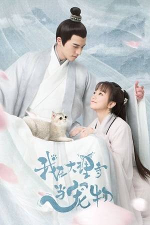 Ru Xiao Lan is a young woman from the modern day. Through a series of circumstances, she travels to the ancient times as a cat. Purely by chance, she meets Qing Mo Yan who's suffering from a poison and as they kiss, they realize that they've found the solution to each other's complications. Deciding to stick together for their own gain, the two embark on a journey to find the five-colored stone that can break Xiao Lan's curse and the ghost grass that can cure Mo Yan's affliction.