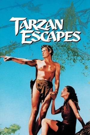 White hunter Captain Fry tries to take Tarzan back to civilization, caged for public display. He arrives in the jungle with Jane's cousins, Eric and Rita, who want Jane's help in claiming a fortune left her.