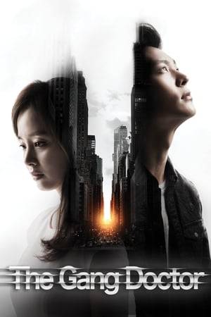 Operating under the alias Yong-pal, a surgeon gets enmeshed in a dark conspiracy involving a chaebol heiress forcibly put in a medically induced coma.