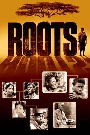 The epic tale of celebrated Pulitzer-prize winning author Alex Haley's ancestors as portrayed in the acclaimed twelve hour mini-series Roots, was first told in his 1976 bestseller Roots: The Saga of an American Family. The docu-drama covers a period of history that begins in mid-1700s Gambia, West Africa and concludes during post-Civil War United States, over 100 years later. This 1977 miniseries eventually won 9 Emmy awards, a Golden Globe award, and a Peabody award, and still stands as the most watched miniseries in U.S. history.