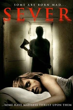 A violent patient escapes an asylum to exact her revenge on a unsuspecting young couple.