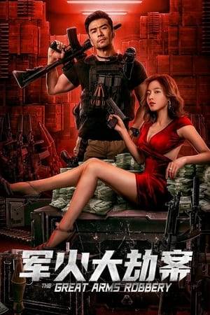 Agent Wen goes undercover to locate weapons for an arms dealer. He's attacked after finding them, so he teams up with his partner to recover the munitions and prevent disaster.