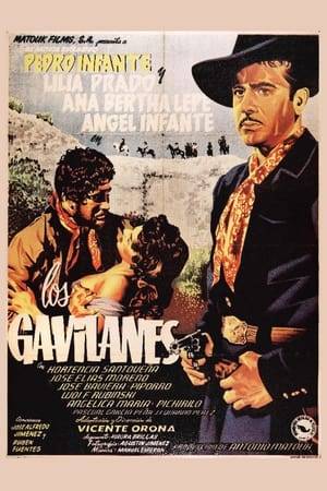 The story of two half brothers who do not know they are such, who fight over a woman and nearly kill each other. One of them belongs to Los Gavilanes, a group of men who live live hidden and looting to give to the poor. Revenge, love and hate will at the end bring out the truth and everyone will get what he deserves.