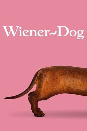A dachshund passes from oddball owner to oddball owner, whose radically dysfunctional lives are all impacted by the pooch.