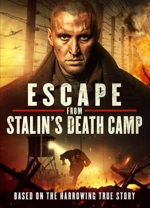Year 1947. Commander of UPA Danylo Chervonyi gets into the terrible slaughter of Stalin's camps, where he must go through hell and inhumane prison conditions, prosecution of criminal leaders, meanness, betrayal and despair. Danylo finds the strength to resist repression of the camp commander and makes a desperate attempt to break free, raising the first rebel in the camp.