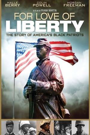 This High Definition, PBS miniseries uses letters, diaries, speeches, journalistic accounts, historical text and military records to document and acknowledge the sacrifices and accomplishments of African-American service men and women since the earliest days of the republic.