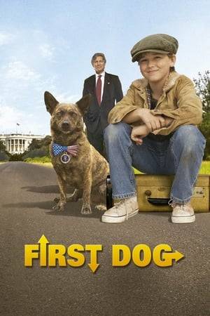 A foster boy is befriended by a lost dog who turns out to belong to the President of the United States. The boy decides to run away from the foster home to return the canine to the White House -- "Because it's the right thing to do!"