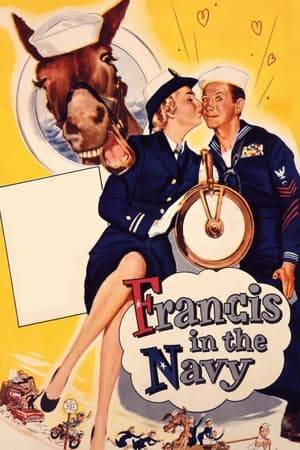 In the U. S. Army intelligence office, bumbling lieutenant Peter Stirling receives a coded message from his friend, Francis, a talking mule. The note urges Pete to hurry to the Coronado, California naval base, where Francis is about to be sold as surplus. Pete rushes to the train station, but before he can board, nurse Betsy Donevan mistakes him for her shell-shocked brother, Navy boatswain Slicker Donevan. She tries to forcibly remove his uniform so he will not get into trouble for impersonating an Army officer. Finally she realizes that Pete is not Slicker but merely his mirror image.