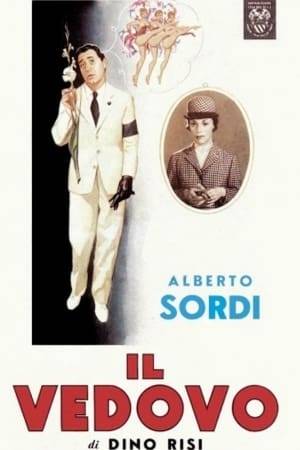 Alberto Nardi is a Roman businessman who fancies himself a man of great capabilities, but whose factory teeters perennially on the brink of catastrophe. Alberto is married to a rich and successful businesswoman from Milan, Elvira Almiraghi who has a no-nonsense attitude and barely tolerates the attempts of her husband to keep his factory afloat with her money.
