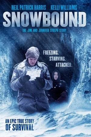 A San Francisco couple (Neil Patrick Harris, Kelli Williams) and their infant son are stranded in the snow-covered Nevada wilderness.