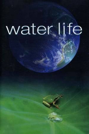 Water Life captures extraordinary locations and intimate animal behavior never before seen on film. Two years in the making, this groundbreaking series takes viewers on an unprecedented visual journey to aquatic ecosystems on five continents to reveal how water shapes and sculpts the landscape and provides food and refuge for an astonishing array of species.
