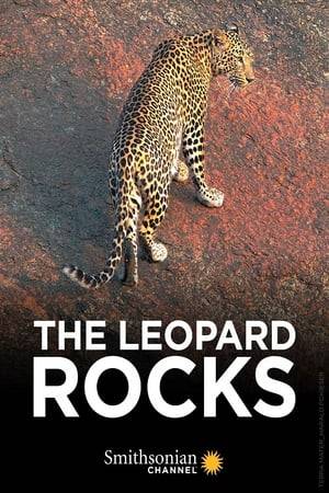 The documentary “The Leopard Rocks” accompanies Neelam, a female leopard, as she fights for the lives of her offspring, and provides a fascinating insight into the lives and adventures of one of the world's most interesting big cat species in a unique, unusual environment.