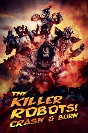 Four fallen robot gladiators are rescued from the scrap pile, turned into an elite group of mercenaries and sent on a mission to bring about a new age of enlightenment in a post-apocalyptic universe.