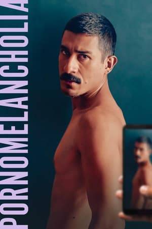 Lalo is a sex influencer: he posts photos of his naked body and homemade porn videos for his thousands of social media followers. Lalo directs his own life, but in private, when out of character, he seems to live in constant melancholy.