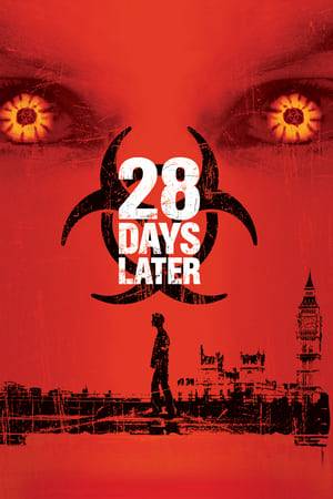 Twenty-eight days after a killer virus was accidentally unleashed from a British research facility, a small group of London survivors are caught in a desperate struggle to protect themselves from the infected. Carried by animals and humans, the virus turns those it infects into homicidal maniacs -- and it's absolutely impossible to contain.