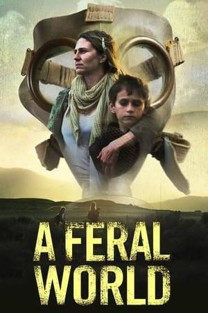 An orphaned boy in a post-apocalyptic world, meets a grieving woman who is trying to find her lost daughter. Their journey leads them face-to-face with a despot who may have the daughter held captive.