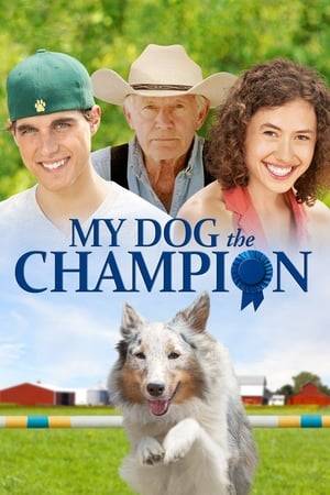 Champion is a "diamond in the rough" story about a dog named Scout, a cattle dog who decided she didn't like herding cattle. Scout's owner, Billy, a rancher struggling to stay in business, pegs her as a useless, broken tool and has every intention of replacing her. But when the rancher's city slicker granddaughter, Madison, spends the summer on his ranch, the two outcasts form a special bond that ushers Scout into the new arena of Dog Agility Competition.