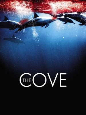 The Cove tells the amazing true story of how an elite team of individuals, films makers and free divers embarked on a covert mission to penetrate the hidden cove in Japan, shining light on a dark and deadly secret. The shocking discoveries were only the tip of the iceberg.