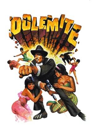 Dolemite is a pimp who was set up by Willie Greene and the cops, who have planted drugs, stolen furs, and guns in his trunk and got him sentenced to 20 years in jail. One day, Queen B and a warden planned to get him out of Jail and get Willie Green and Mitchell busted for what they did to him.