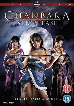 Following the death of her mother, 20-year-old Lili has been living with her grandmother and is about to inherit her legacy to become the latest in a long line of female warriors adept at the deadly martial art of Sayama Hashinryu. During an informal ceremony inducting her into the legendary ranks, Lili is mysteriously transported 300 years back in time to a small village in 18th-century Japan. In no time at all she is fulfilling her destiny as a warrior by rescuing a young girl who is being harassed by three ninja members of the Yamishika gang who work for the evil Lady Okinu. Soon, they will all meet, and Lili's fate will be decided!