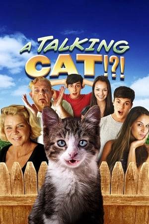 A mysterious talking cat uses its powers of communication to enrich the lives of two different families, and bring them together.