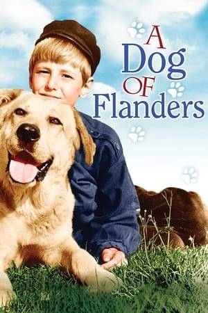 The emotional story of a boy, his grandfather, and his dog. The boy's dream of becoming a great classical painter appears shattered when his loving grandfather dies.