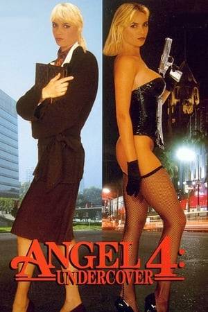 Former prostitute Molly Stewart works as a police photographer. When an old friend, a groupie in pursuit of the lead singer of a rock band, is found murdered with a guitar string, she goes undercover as Angel to find the killer.