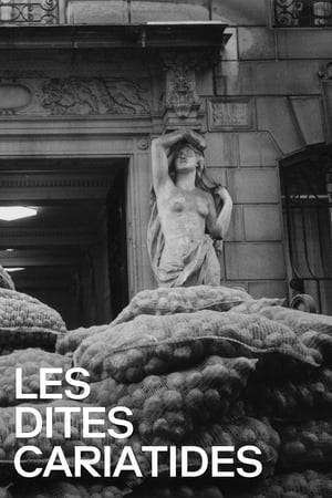 Commissioned by French television, this is a short documentary on the neo-classical statues found throughout Paris, predominantly on the walls of buildings, holding up windows, roofs etc.