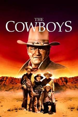 When his cattlemen abandon him for the gold fields, rancher Wil Andersen is forced to take on a collection of young boys as his cowboys in order to get his herd to market in time to avoid financial disaster. The boys learn to do a man's job under Andersen's tutelage, however, neither he nor the boys know that a gang of cattle thieves is stalking them.