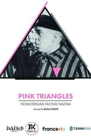 A documentary that traces the lives of men and women persecuted by the Third Reich because of their sexual orientation. Beginning with the social and political context of the 1920s, when European society still "tolerated" homosexuality, it details the mechanisms of repression and brings to life the hell experienced by the victims in the concentration camps. It also recalls the long road traveled by the victims to obtain the decriminalization of homosexuality and recognition of the harm suffered during this dark period in history. While the film traces the martyrdom of homosexuals and lesbians, it does not fail to place this story in a wider perspective and to bring together in a single memory all the victims of Nazi cruelty.