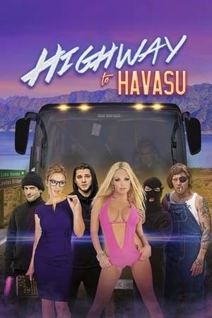 During spring break, two buddies kidnap their broken-hearted friend and embark on a road trip to Lake Havasu.