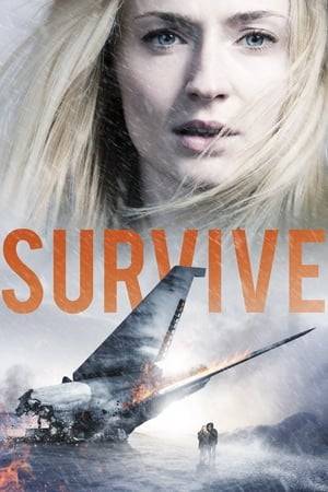 Jane's plane crashes on a remote snow-covered mountain and she, along with Paul, the only remaining survivors, must pull themselves out of the wreckage and fight for their lives. Together they embark on a harrowing journey out of the wilderness, battling brutal conditions and personal traumas.