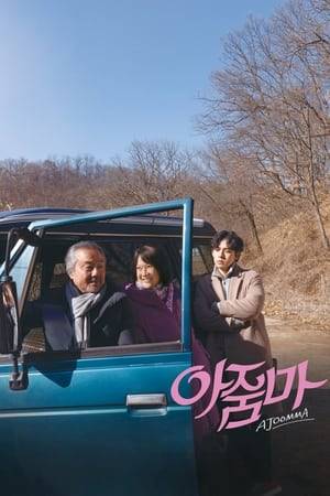 A widow obsessed with Korean soap operas travels abroad for the first time in her life and finds more than she bargained for in Seoul.