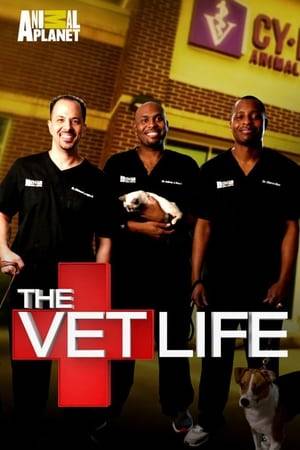 Follow veterinarians Dr. Diarra Blue, Dr. Aubrey Ross and Dr. Michael Lavigne, who recently moved to Houston to open a full-service veterinarian hospital and animal shelter together. The series captures the doctors' lives as they juggle running a new business while managing their family life filled with spouses, parents, in-laws, children, pets and friends, as well as their intense moments saving the lives of animals at their clinic.