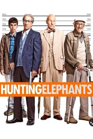 In this hilarious crime comedy, a gifted 12-year-old boy and three elderly men plan a bank robbery in order to seek revenge on the institution for cheating the youngster after the death of his father.