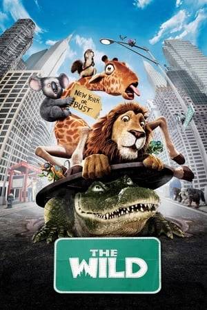 An adolescent lion is accidentally shipped from the New York Zoo to Africa. Now running free, his zoo pals must put aside their differences to help bring him back.