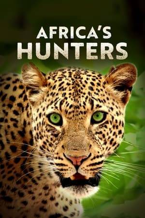 A wise old leopard is challenged by a young rival; a lion cub struggles to find his place in the pride; and a lowly young hyena needs to grow up fast as the dry season takes hold. Powerful, personal stories will reveal the unique characters and amazing adaptations of Africa's top predators, followed in intimate detail, in the Zambian wilderness.